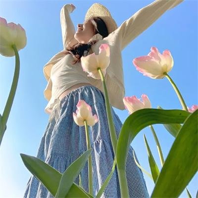 马克辛的归来